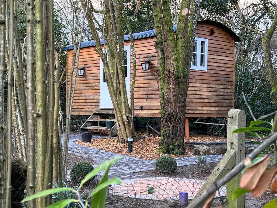 Tranquil Spot Shepherds Hut Cinderford 외부 사진