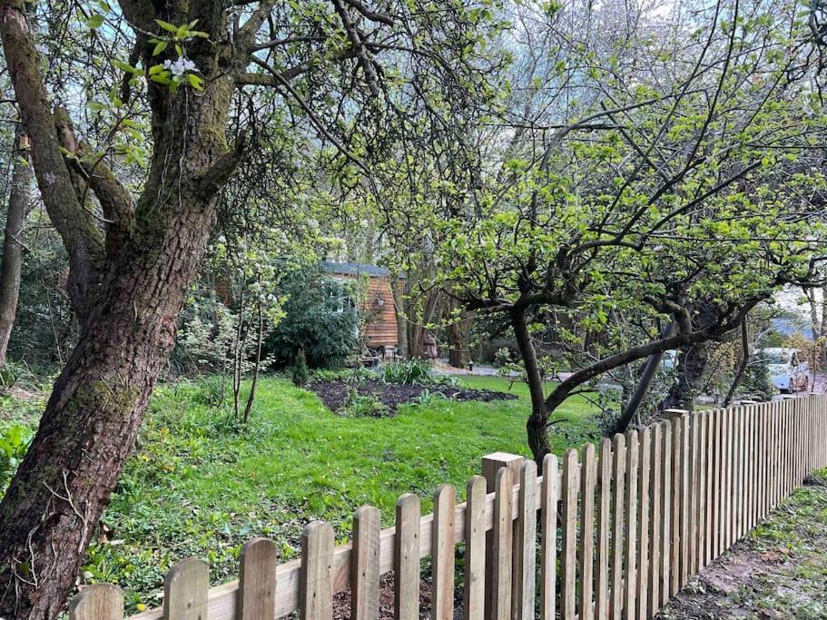 Tranquil Spot Shepherds Hut Cinderford 외부 사진